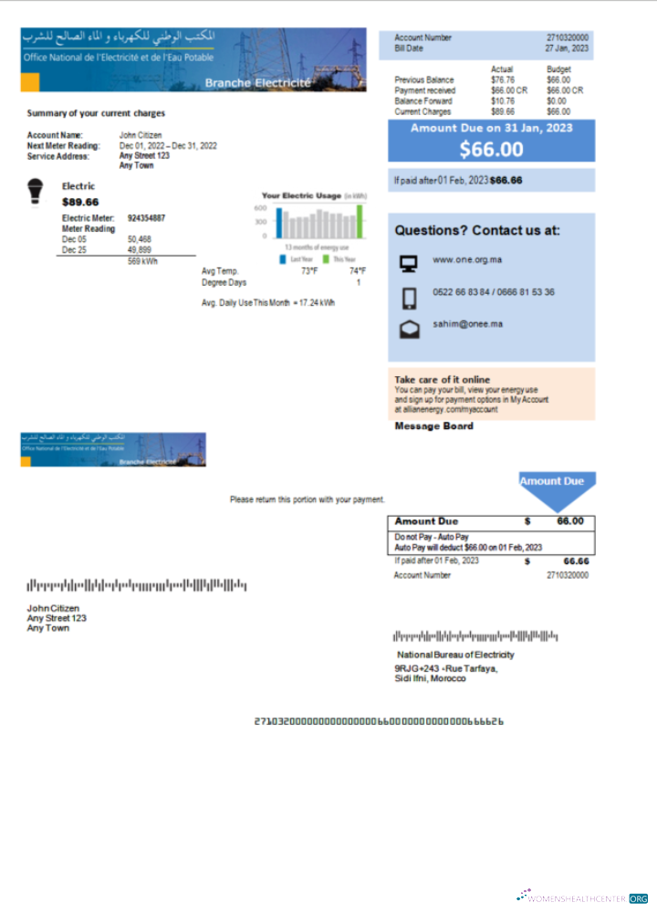 download Morocco National Bureau of Electricity utility bill Word and PDF template PDF template
